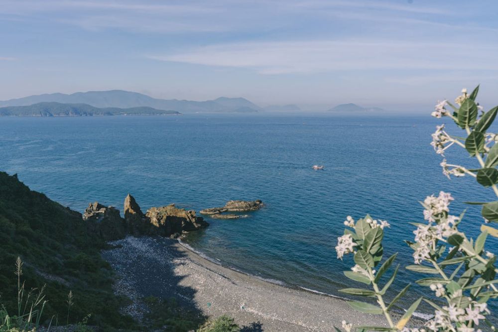Hon Tam Island is where natural beauty meets the long-standing historical legacy of Nha Trang Bay (Source: Pexels)